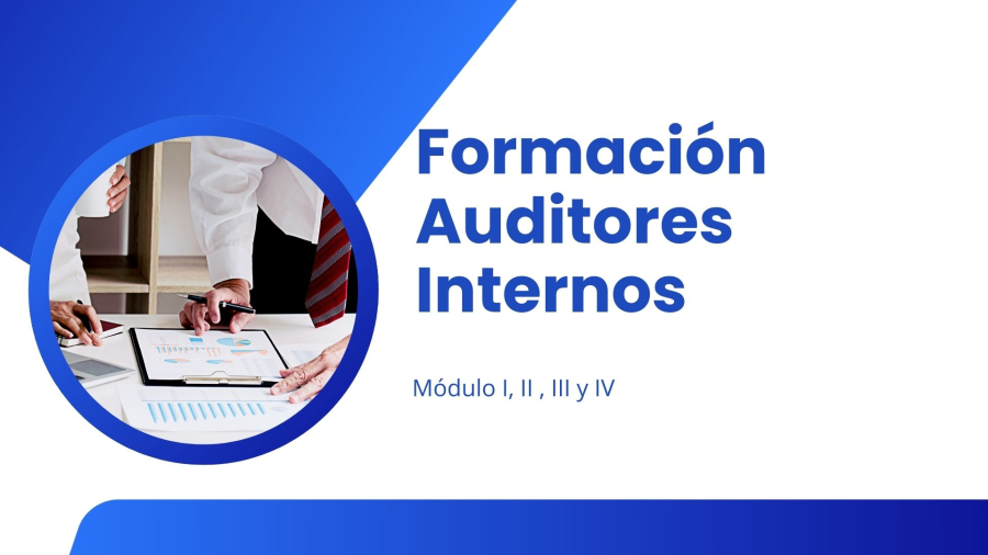 auditores%202025