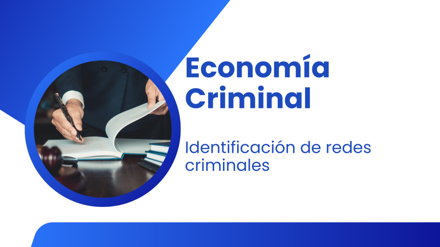 REDES%20CRIMINALES